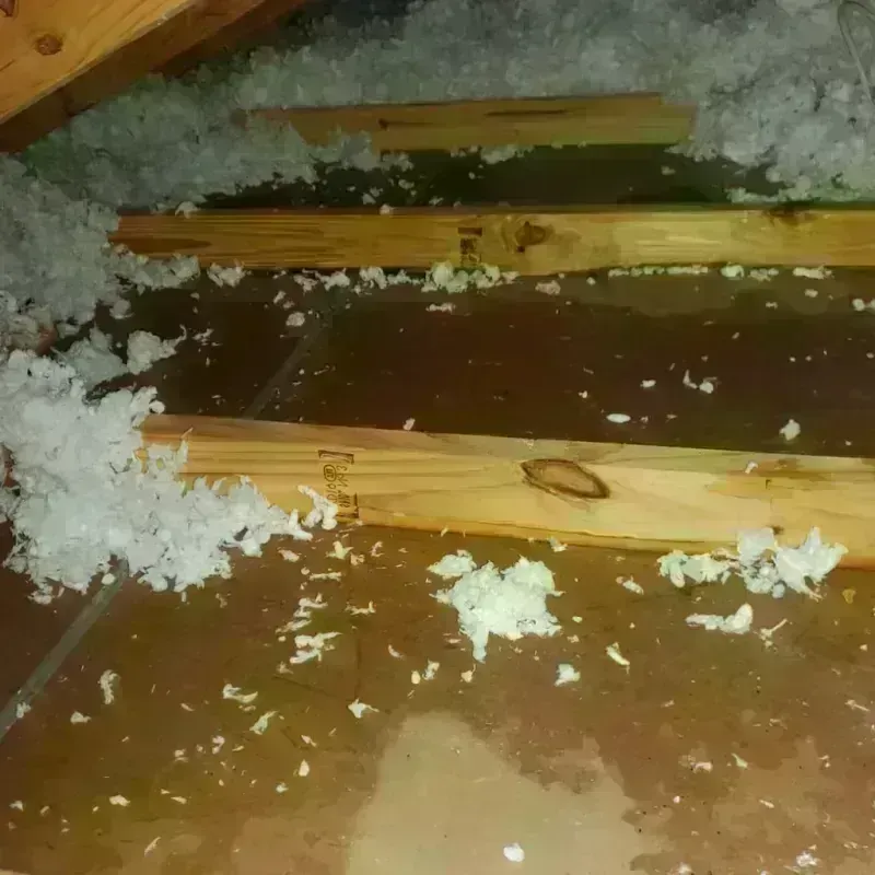 Attic Water Damage in New Britain, PA